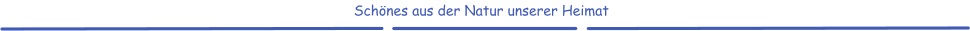 Schönes aus der Natur unserer Heimat